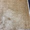 Carpet 40 beige plain