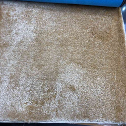 موكيت 40 ساده بيج