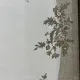 سجاد اناقة تركي SRC25A كريم مقاس 250*350
