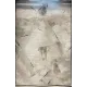سجاد تركي برل 42816A كريم اسود مقاس 50*80 - سجاد مودرن