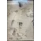 سجاد تركي برل 42816A كريم سماوي مقاس 50*80