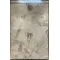 سجاد تركي برل 42816A كريم تيرا مقاس 50*80