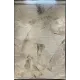 سجاد تركي برل 42816A كريم تيرا مقاس 50*80 - سجاد مودرن
