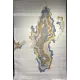 سجاد تركي فلورنس J870 بيج سماوي مقاس 200*300