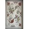 سجاد توليب تركي AA228A تيرا مقاس 300*400
