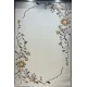 نوفا