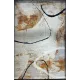 سجاد اوبرا تركي HD24A ابيض تيرا مقاس 250*350 - سجاد مودرن