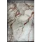 سجاد اوبرا تركي HD33A ابيض تيرا مقاس 300*400