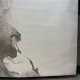 سجاد الفن تركي D0651A اخضر مقاس 250*350