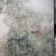 سجاد الفن تركي D0651A تيرا مقاس 200*300